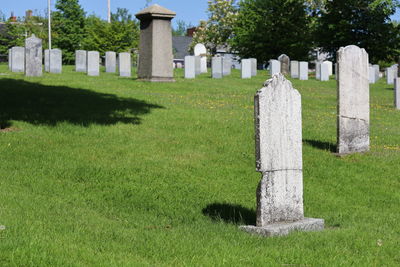 Tombstones in cemetery