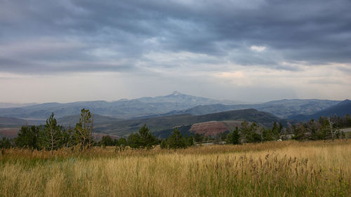 Scenic view of field and mountains against sky