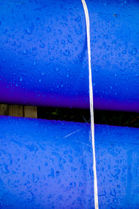 Close-up of wet blue during winter