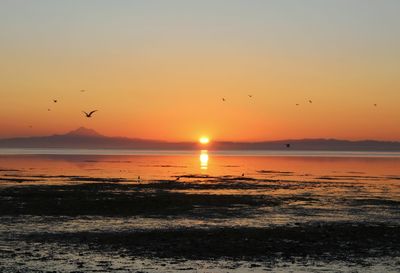 Scenic view of sea against sky during sunset