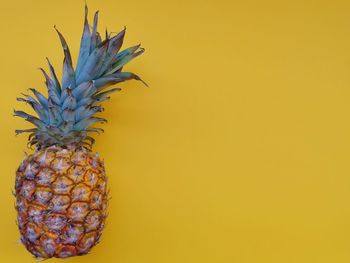 Close-up of fruit against white background