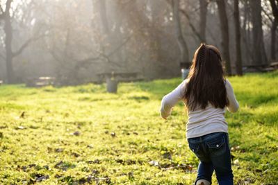 Rear view of a woman in the forest