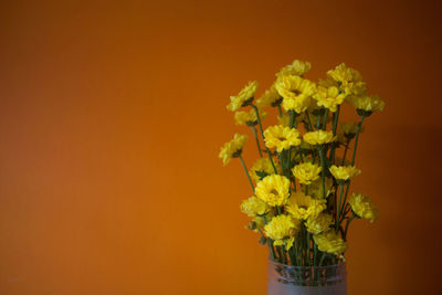 Close-up of yellow flowers