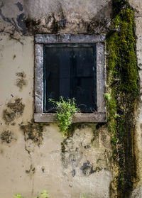 Window of old abandoned building