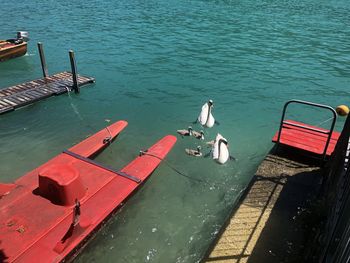 High angle view of boats moored in sea