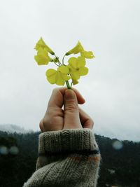 Midsection of person holding plant