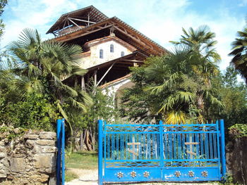 House and palm trees by plants against sky