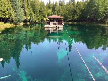 Reflection of trees in water