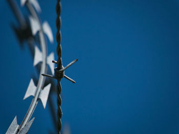 Close-up of barbed wire against clear blue sky