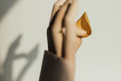 Close-up of hand holding leaf against white background