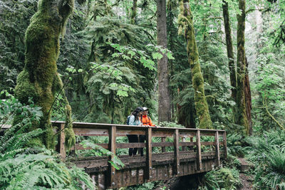 A young couple enjoys a hike in a forest in the pacific northwest.