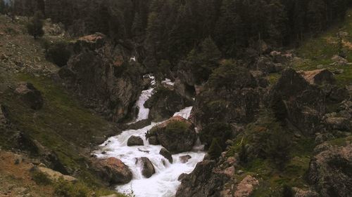 Scenic view of waterfall in forest