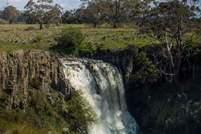 Scenic view of waterfall