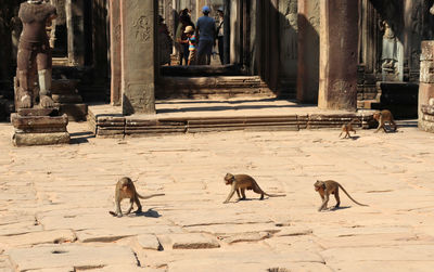 Group of people walking in building