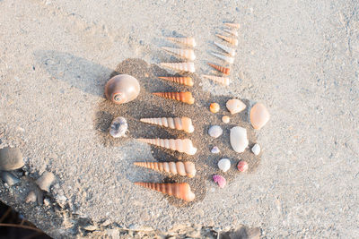 High angle view of shells on sand