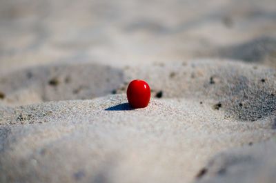 Close-up of red fruit on sand