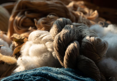 Close-up of sheep