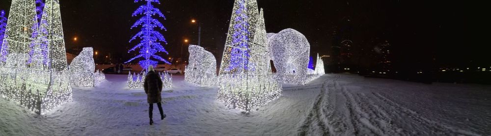 Illuminated christmas tree during winter at night