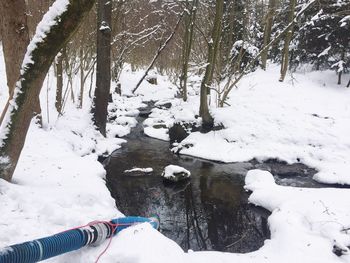 Low section of person walking on snow covered tree