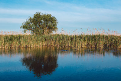 Scenic view of lake against sky