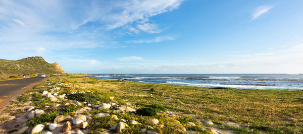 Cape of good hope nature reserve, south african republic