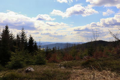 Scenic view of field against sky