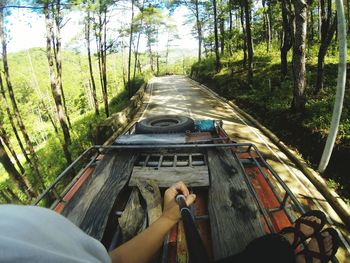 Low section of man on car in forest