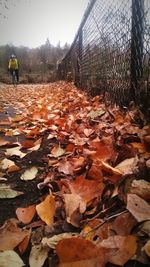 Full length of woman standing on field