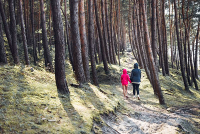 Rear view of man walking in forest