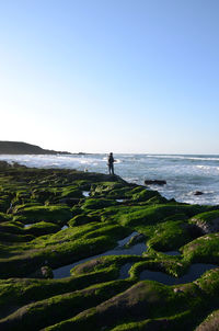 Man standing on beach against clear blue sky