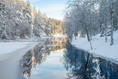 Canal in winter with reflective water