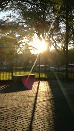 Sunlight streaming through trees in park during sunset