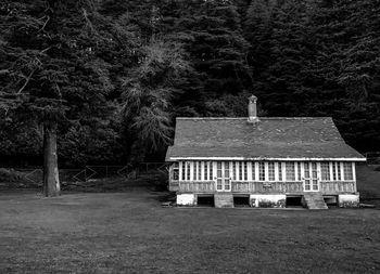 Built structure against trees