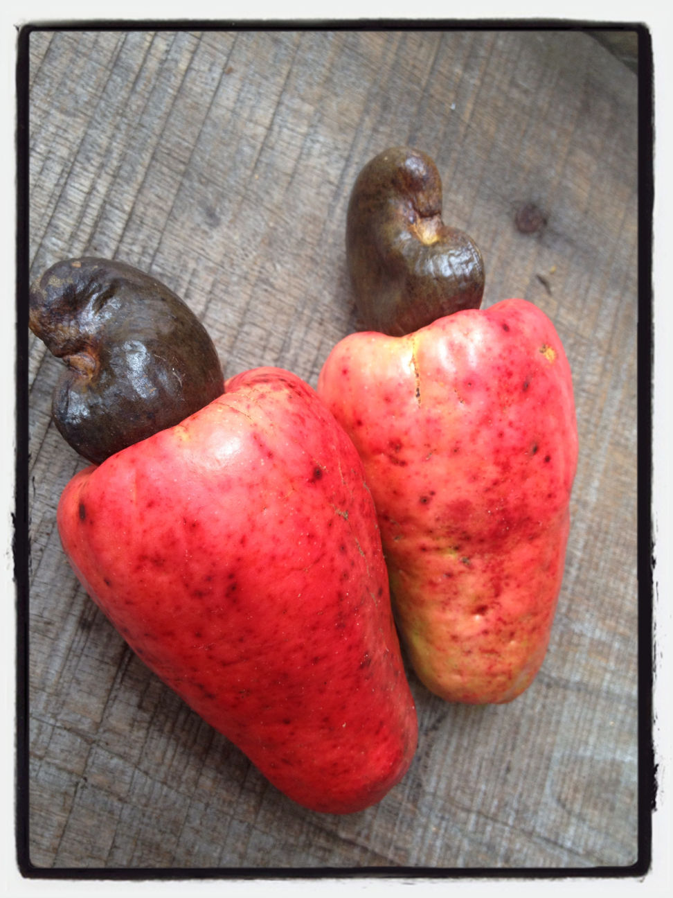 Cashew fruit