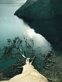 High angle view of sea shore