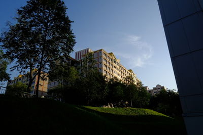 Building with trees in background