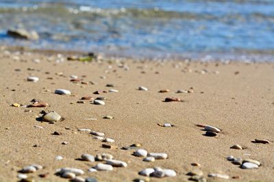 Close-up of sand on beach