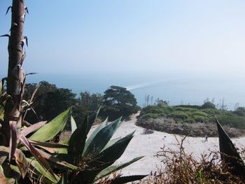 Scenic view of sea against clear sky