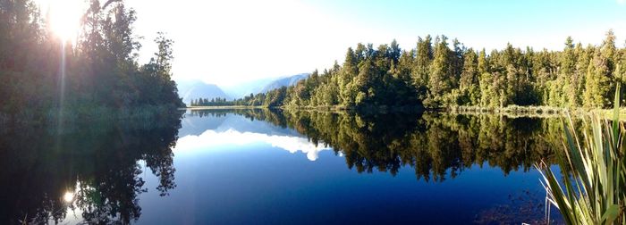 Reflection of trees in calm lake