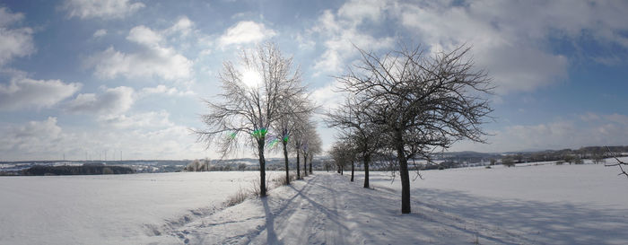 Trees on snow covered field against sky