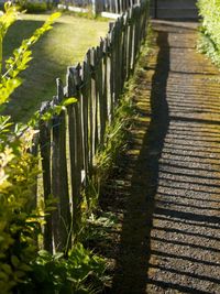 Wooden posts in row