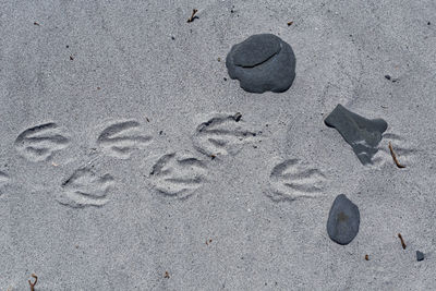 High angle view of footprints on sand