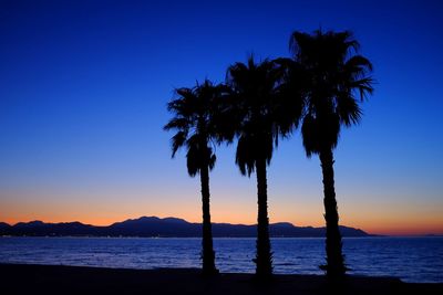 Silhouette palm trees on beach against clear sky at sunset