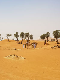 People with camels on desert against clear sky