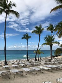 Scenic view of palm trees on beach against sky