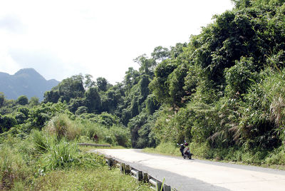 Man walking on road by trees against clear sky