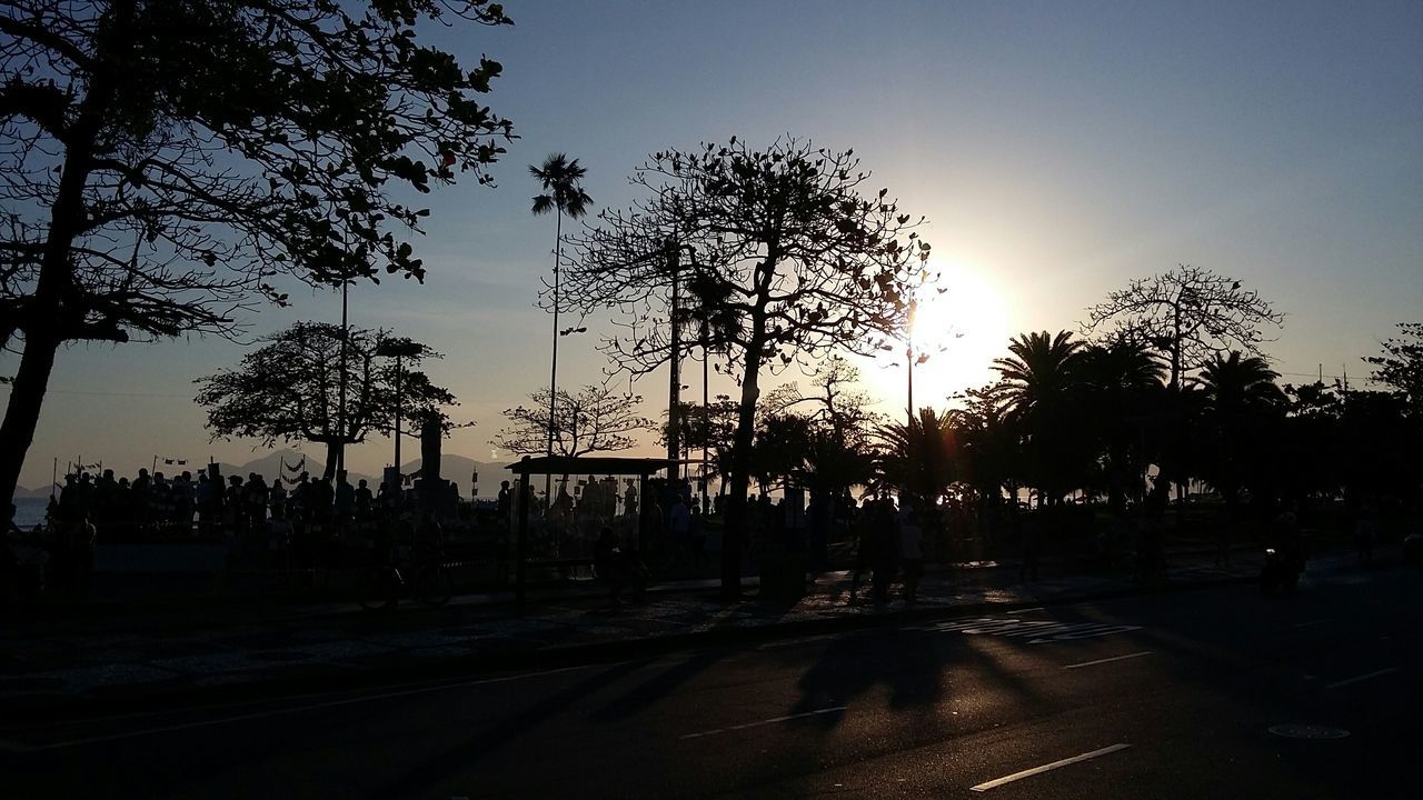 tree, silhouette, road, transportation, sunset, clear sky, street, the way forward, sky, car, sunlight, road marking, street light, city, land vehicle, built structure, outdoors, sun, architecture, dusk