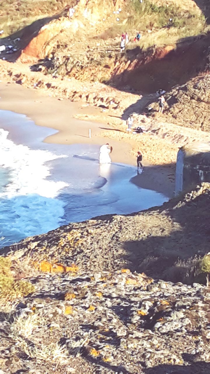 bird, water, animal themes, animals in the wild, wildlife, beach, sea, high angle view, shore, nature, sunlight, rock - object, seagull, beauty in nature, sand, tranquility, swimming, outdoors, day