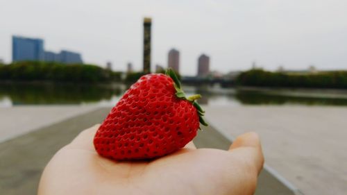 Close-up of hand holding strawberry over pier
