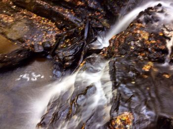 River flowing through rocks